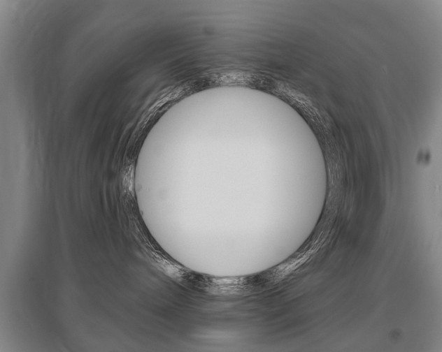 X0000095880240200801110812