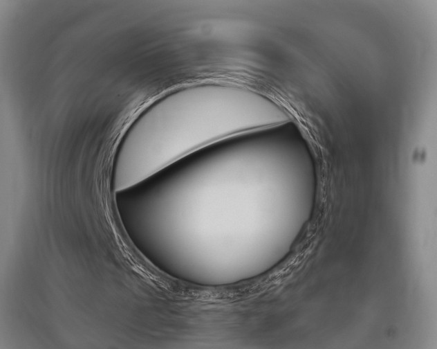 X0000095880241200801110811