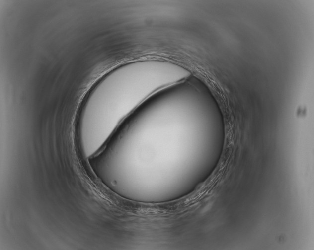 X0000095880242200801110811