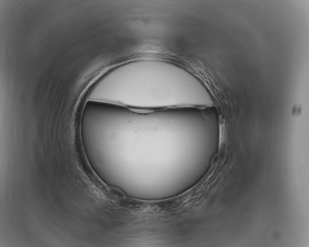 X0000095880243200801110811