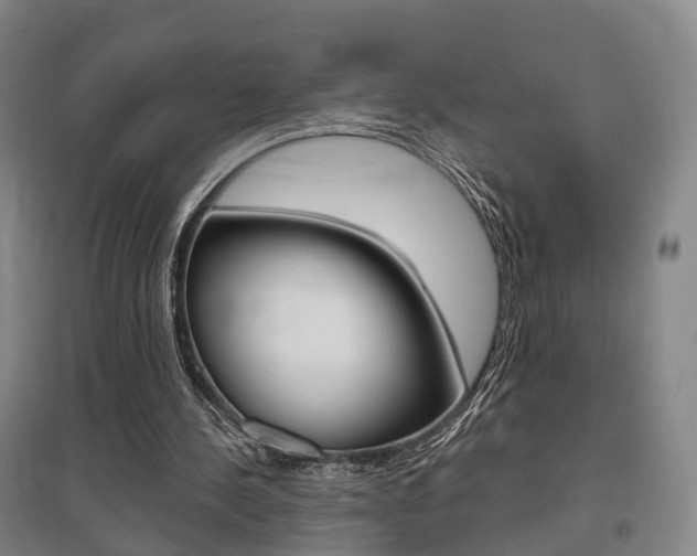 X0000095880244200801110811