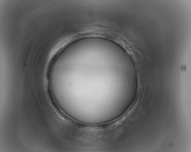 X0000095880245200801110811