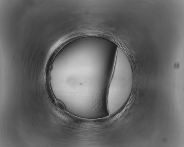 X0000095880246200801110811
