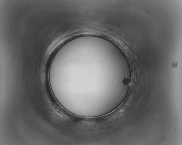 X0000095880247200801110811
