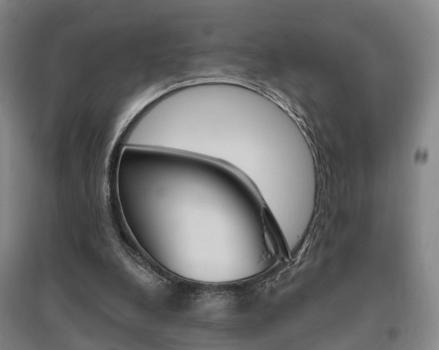X0000095880248200801110811