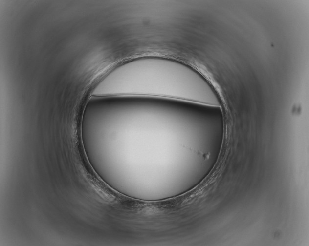 X0000095880249200801110811