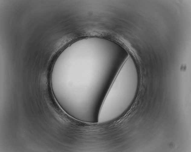 X0000095880250200801110811