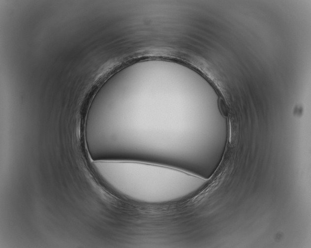 X0000095880253200801110811