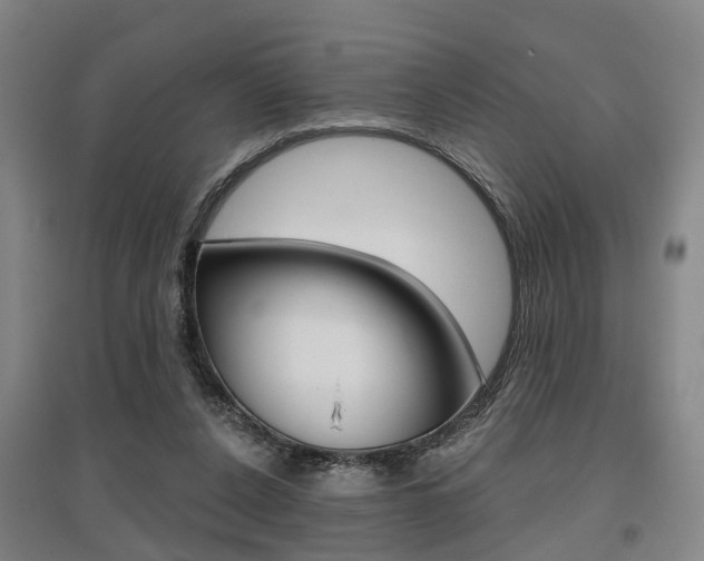 X0000095880256200801110811