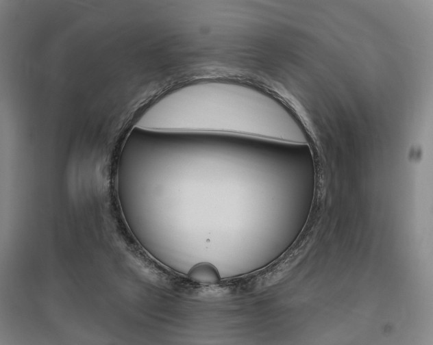 X0000095880257200801110811