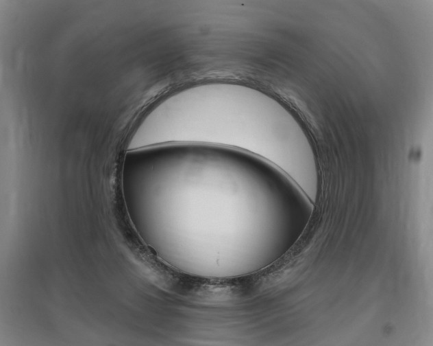 X0000095880260200801110812
