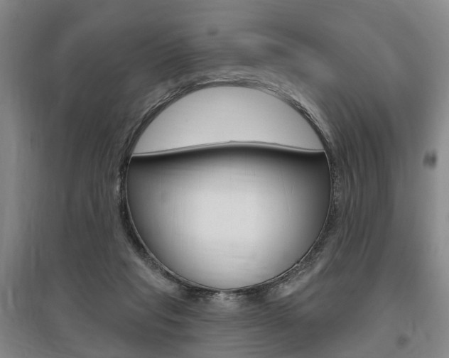 X0000095880261200801110812