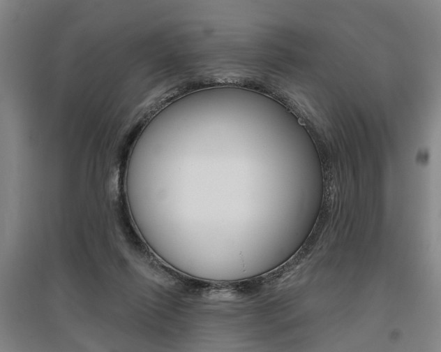 X0000095880262200801110812