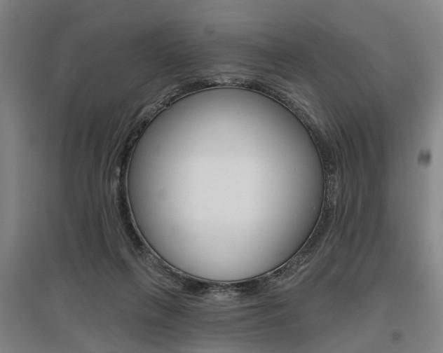 X0000095880263200801110812