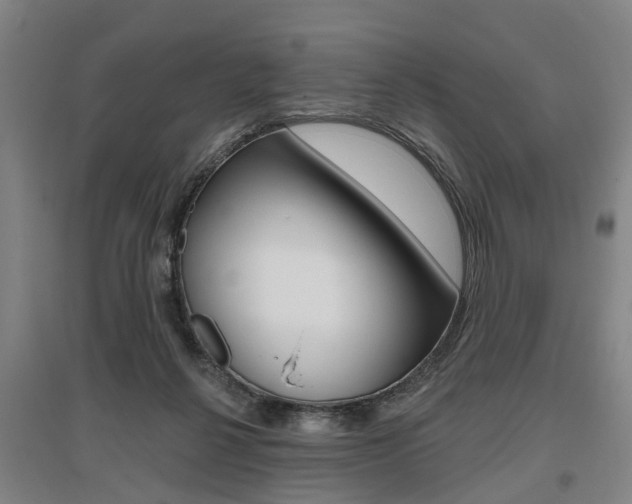 X0000095880264200801110812