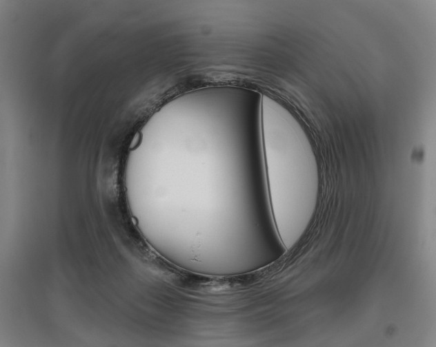 X0000095880267200801110812
