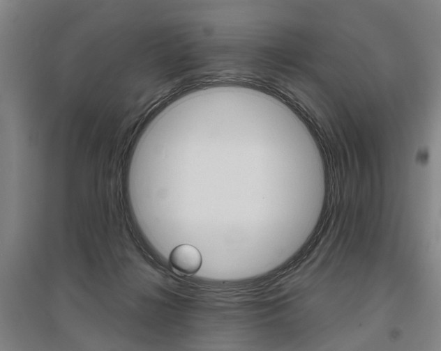 X0000095880268200801110812
