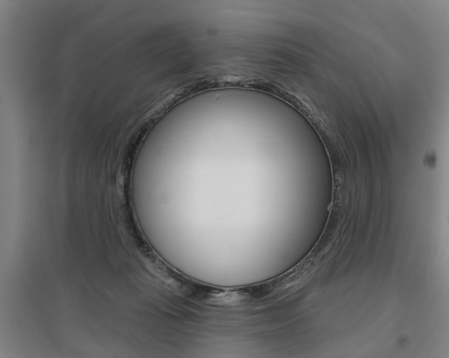 X0000095880269200801110812