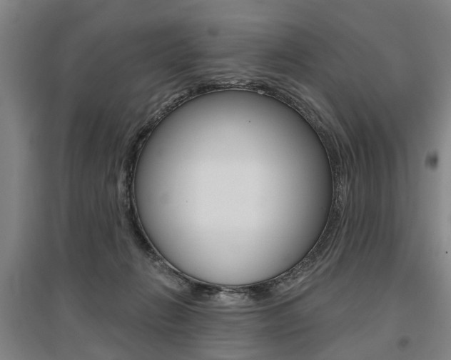 X0000095880270200801110812