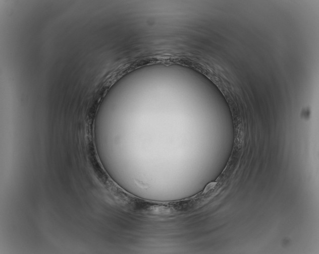 X0000095880272200801110812