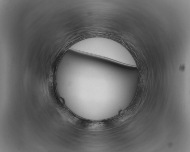 X0000095880274200801110812