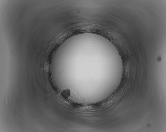 X0000095880278200801110812