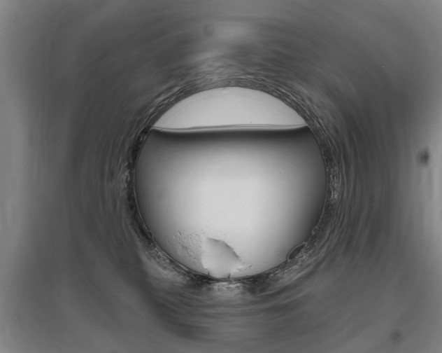 X0000095880279200801110812