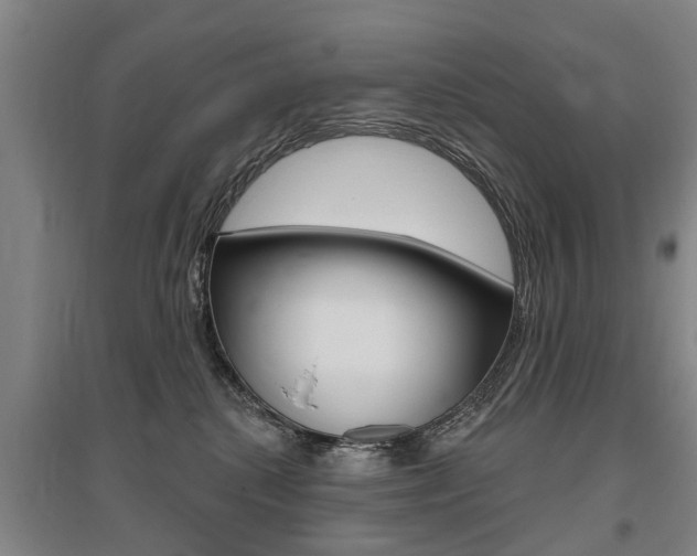X0000095880280200801110812