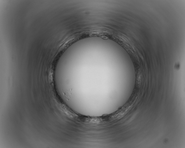X0000095880282200801110812