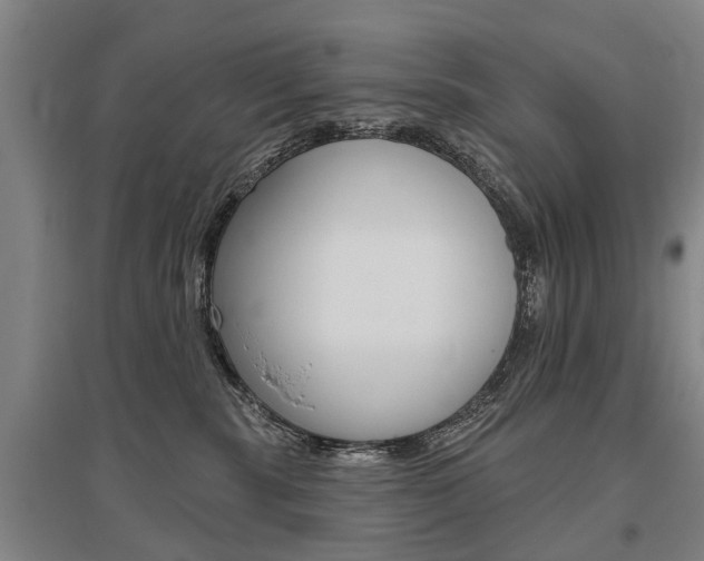 X0000095880283200801110812