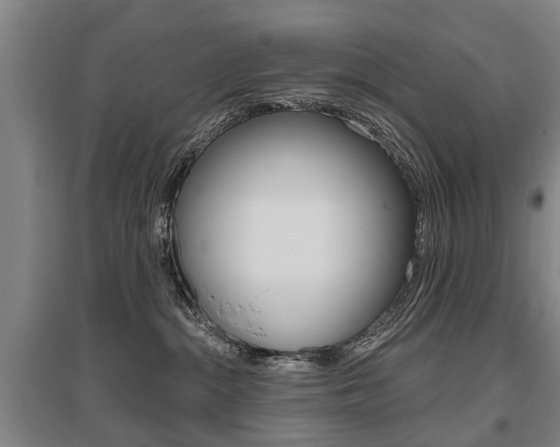 X0000095880284200801110812