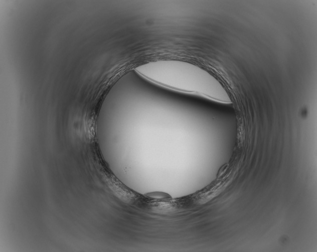 X0000095880285200801110812