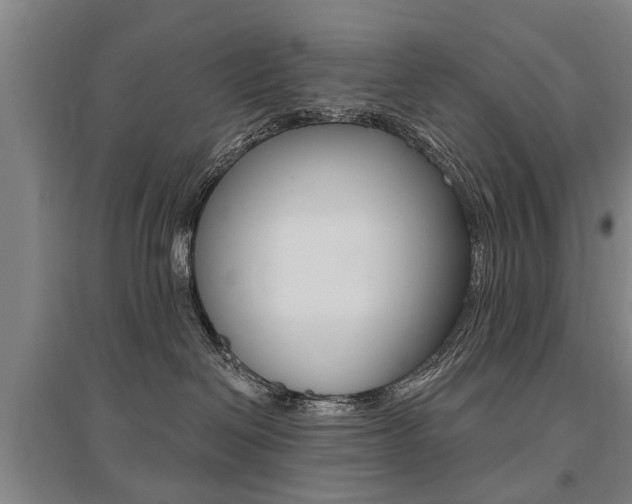 X0000095880286200801110812