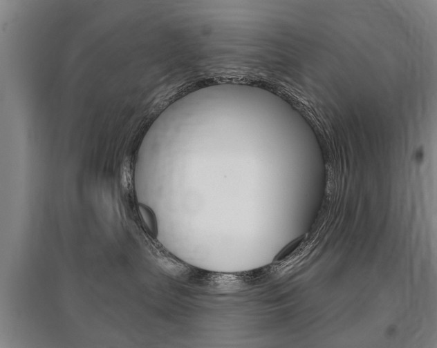 X0000095880287200801110812