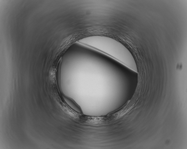 X0000095880288200801110812