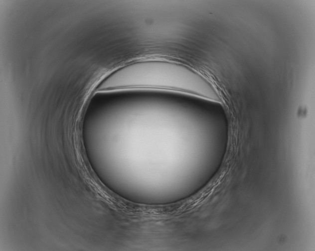 X0000095880289200801110811