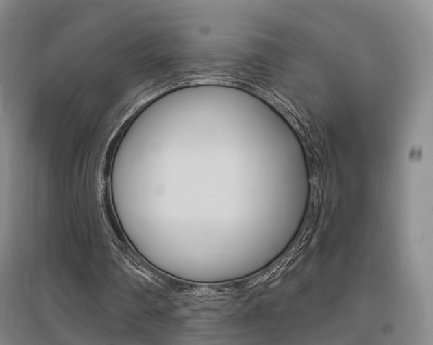 X0000095880290200801110811