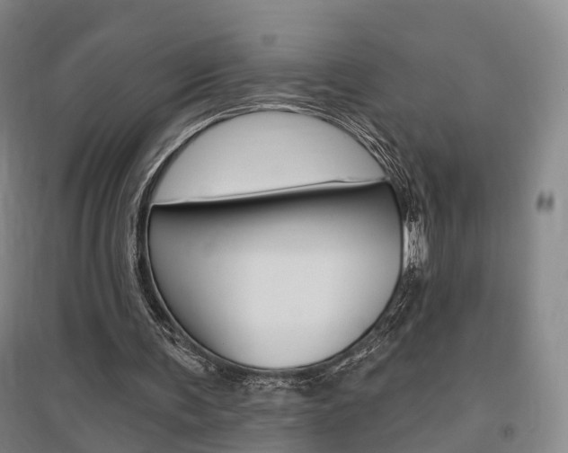 X0000095880291200801110811