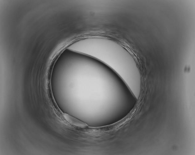 X0000095880293200801110811