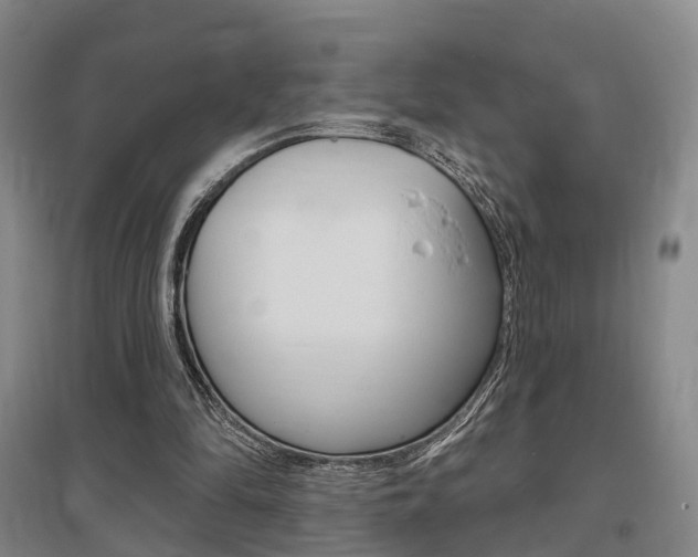 X0000095880294200801110811