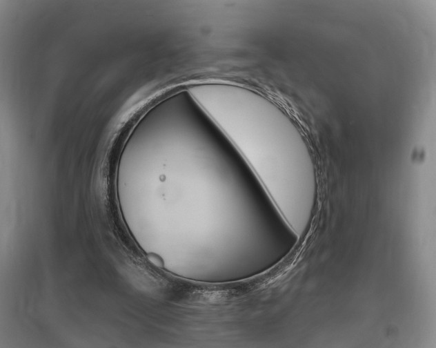 X0000095880295200801110811