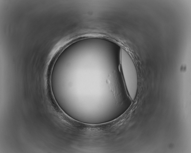 X0000095880296200801110811