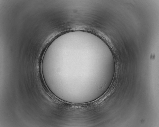 X0000095880298200801110811