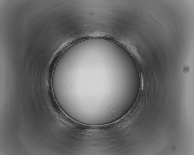X0000095880300200801110811