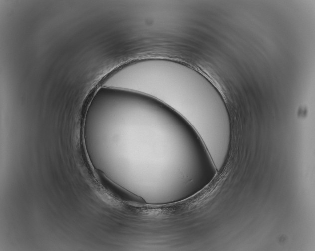 X0000095880301200801110811