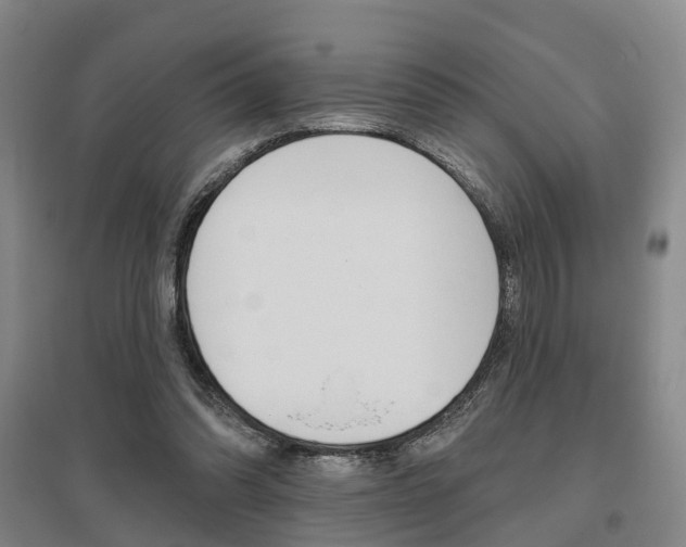 X0000095880302200801110811