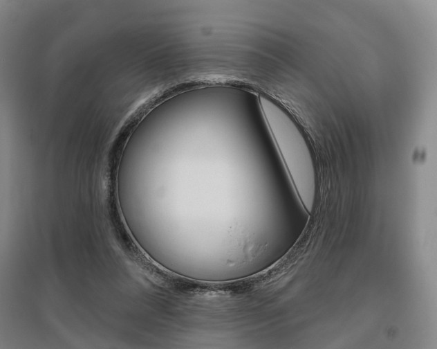 X0000095880304200801110811