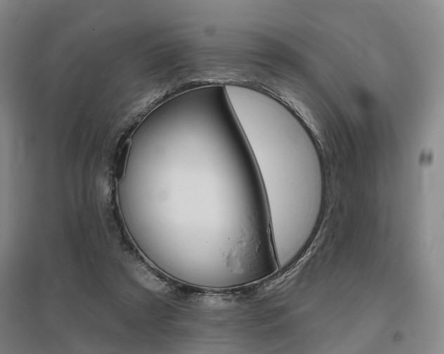 X0000095880305200801110811