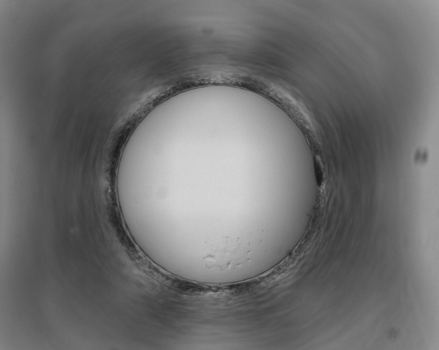 X0000095880306200801110811