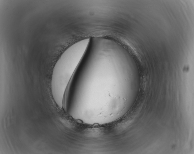 X0000095880307200801110811